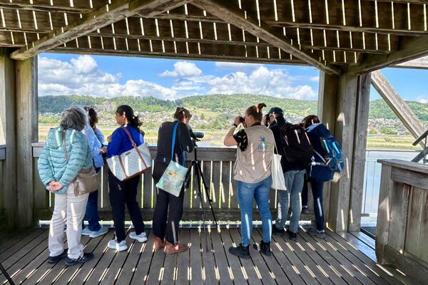 Birdwatching am Klingnauer Stausee